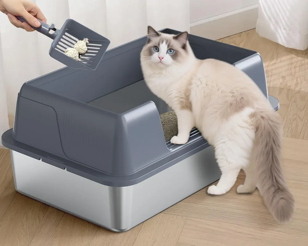 A cat stepping into the Vivifying open stainless steel litter box while a hand scoops