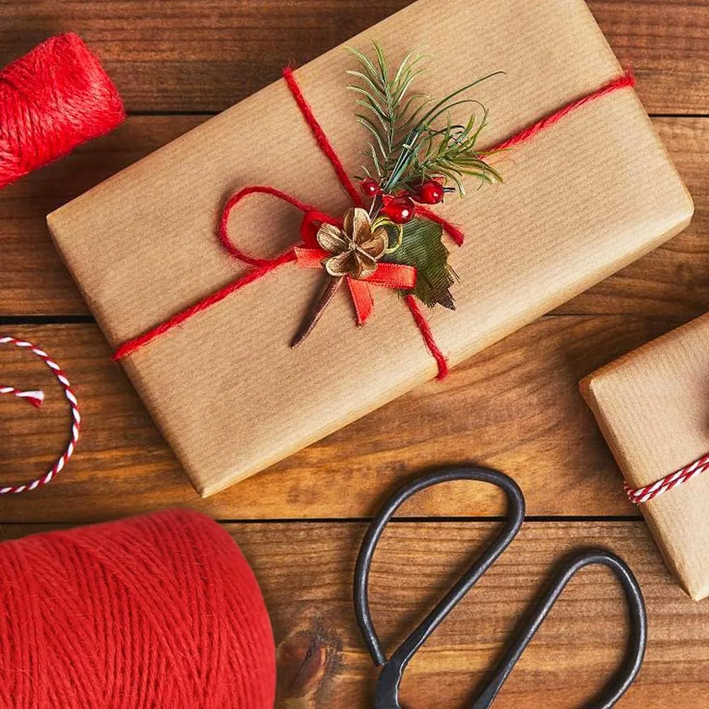 A parcel in brown paper tied with red Vivifying jute twine